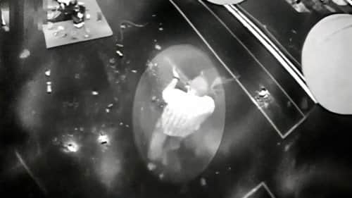 Heroes of the Pulse Nightclub Massacre (1)