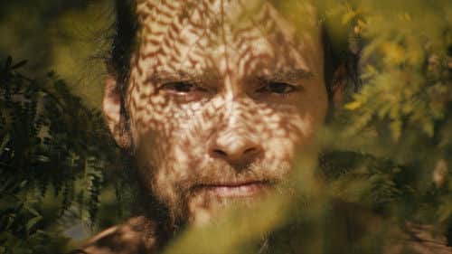 Out of the Woods