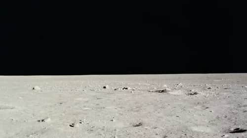 Magnificent Desolation