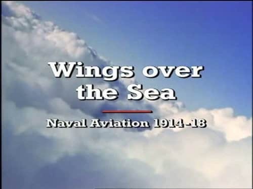 Wings Over the Sea