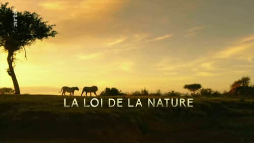 The Law of Nature