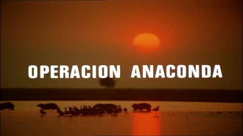Operation Anaconda