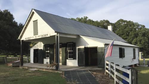 Magnolia Plantation
