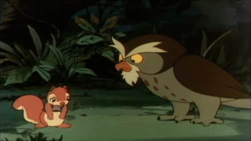 Friends of the Forest