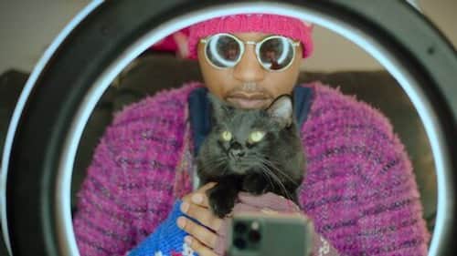 Cat Rappers Delight