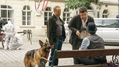 See Vienna and die