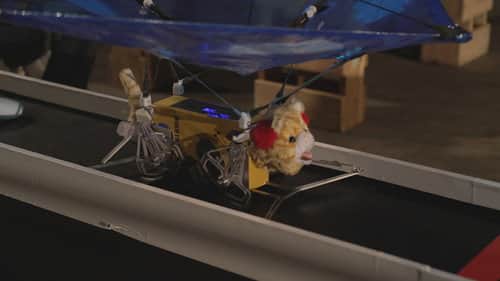 Episode 7
