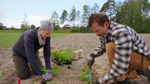 Self-sufficiency is a lot of work