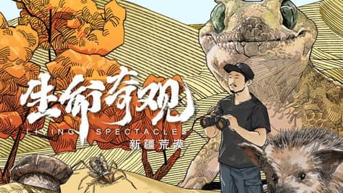 Xinjiang Desert