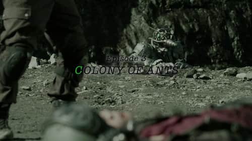 COLONY OF ANTS