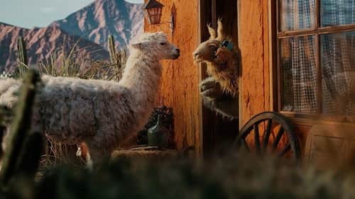 Llama vs Llama