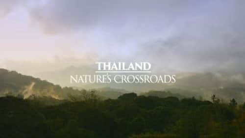 Thailand: Nature's Crossroads
