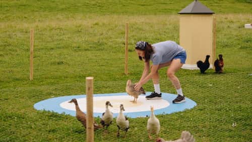 More chickens and French opening