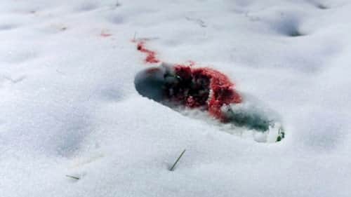 Footprints in the Snow
