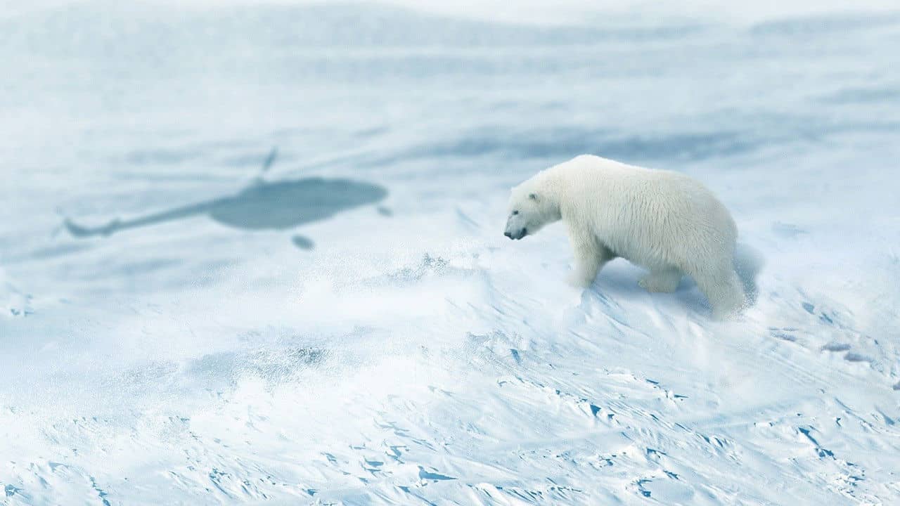 Arctic from Above backdrop