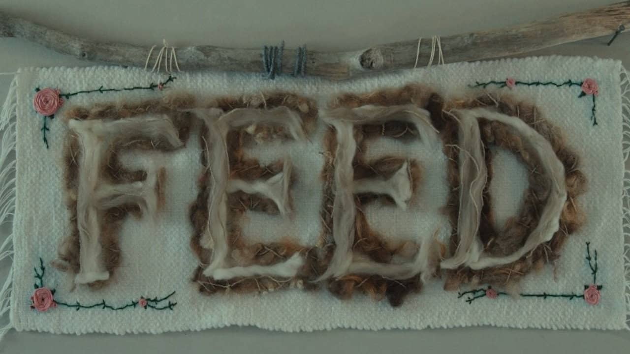 Feed backdrop