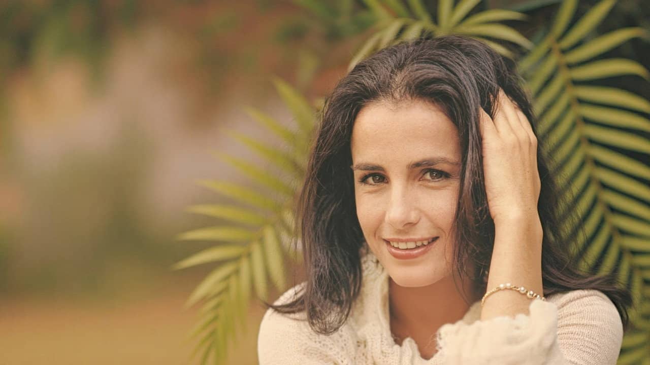 O Anjo Maldito backdrop
