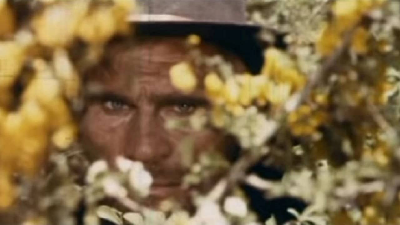 Let's Go And Kill Sartana backdrop