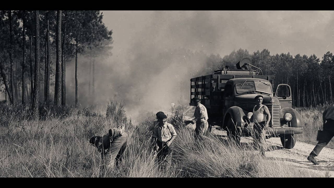 1949 : le Grand feu backdrop