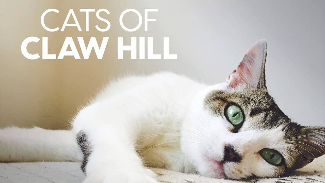 Cats of Claw Hill backdrop