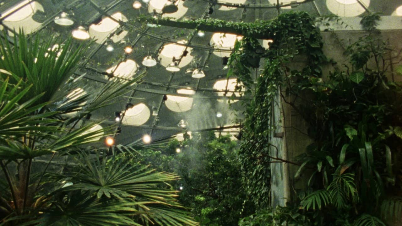 Tropical Fractals backdrop