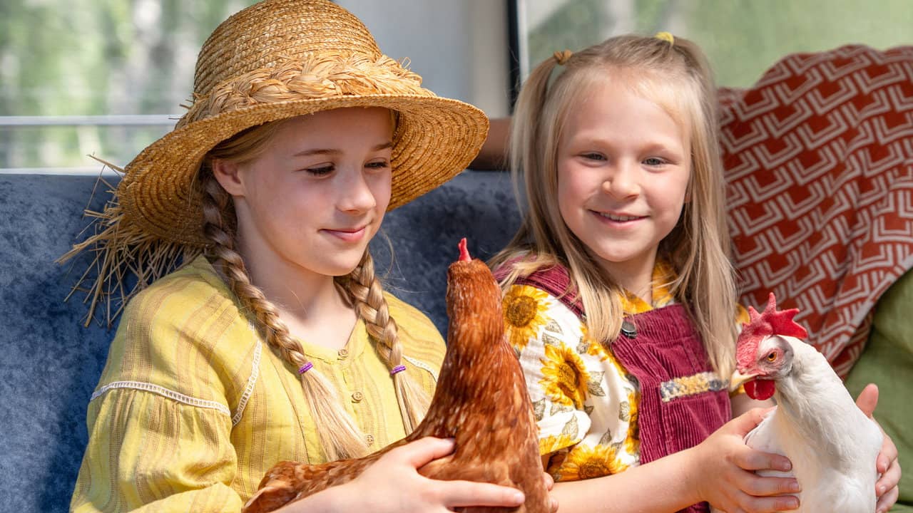 Hayflower, Quiltshoe and the Chicken backdrop