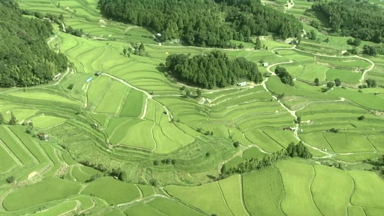 Satoyama I: Japan's Secret Watergarden backdrop