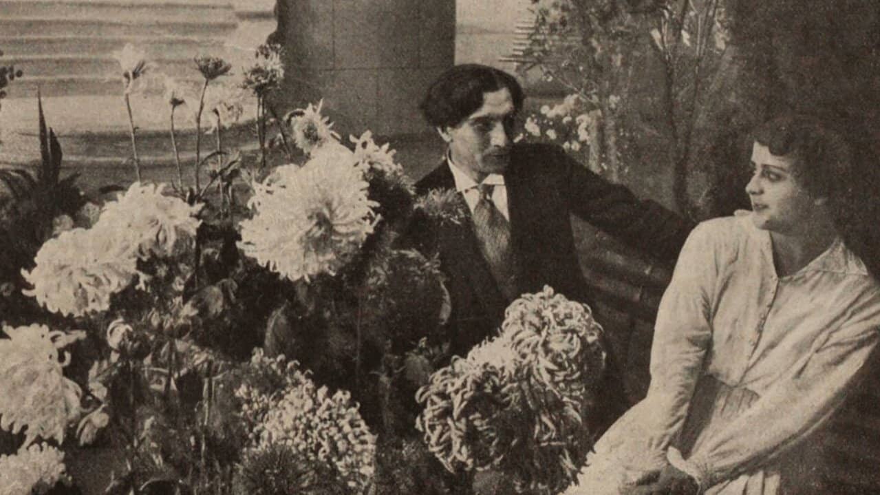 Long Gone are Chrysanthemums in a Garden backdrop