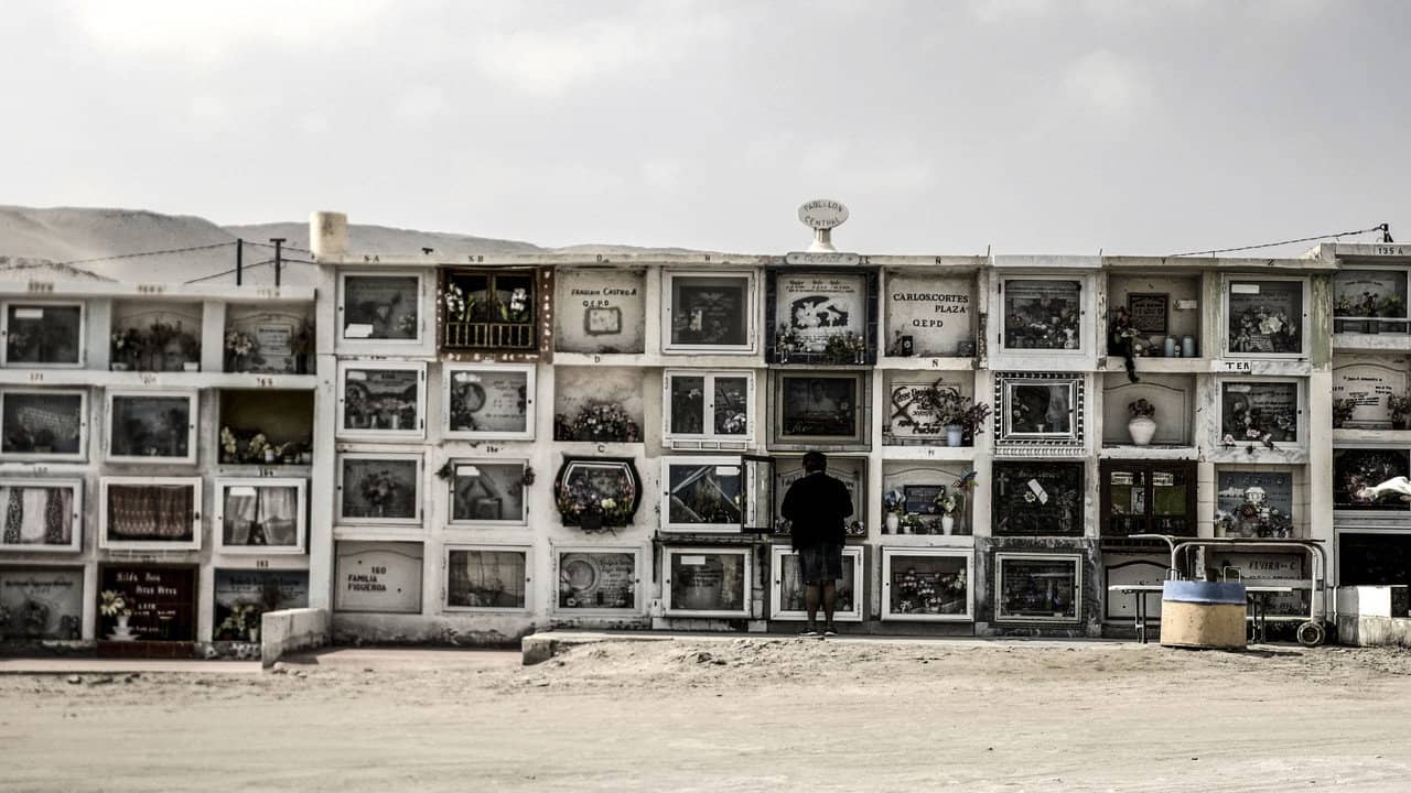 Arica backdrop