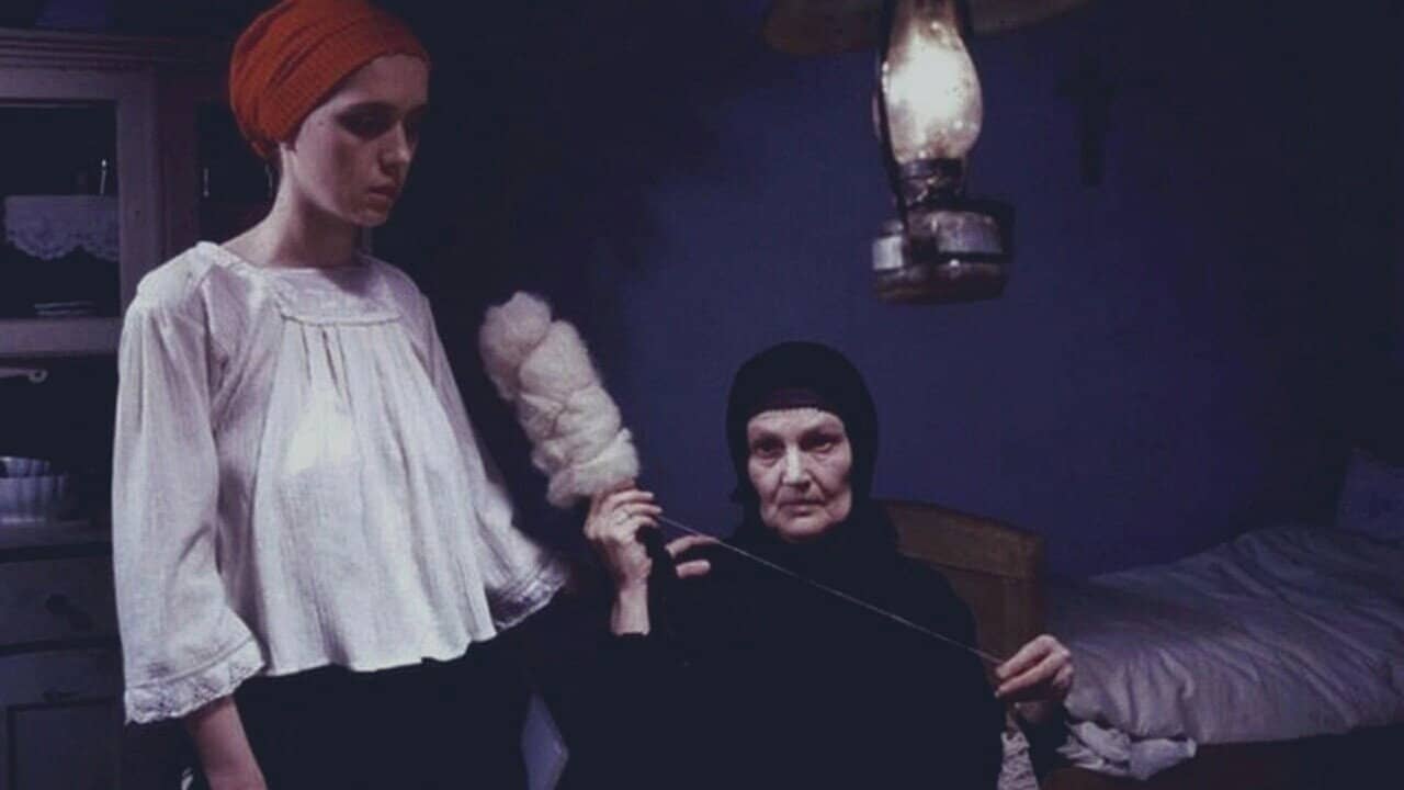 The Life of Stipe Zvonarov backdrop