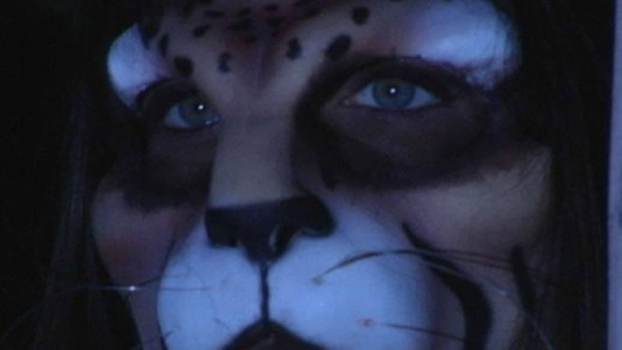 WildCat backdrop