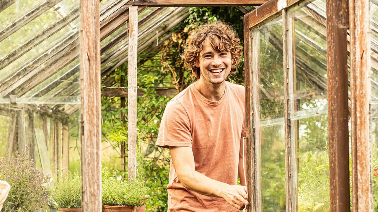 A Taste of the Country backdrop