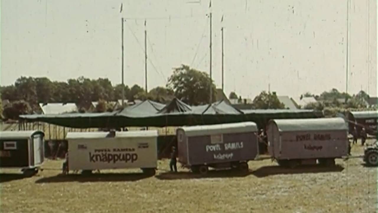 Kortknäpp backdrop