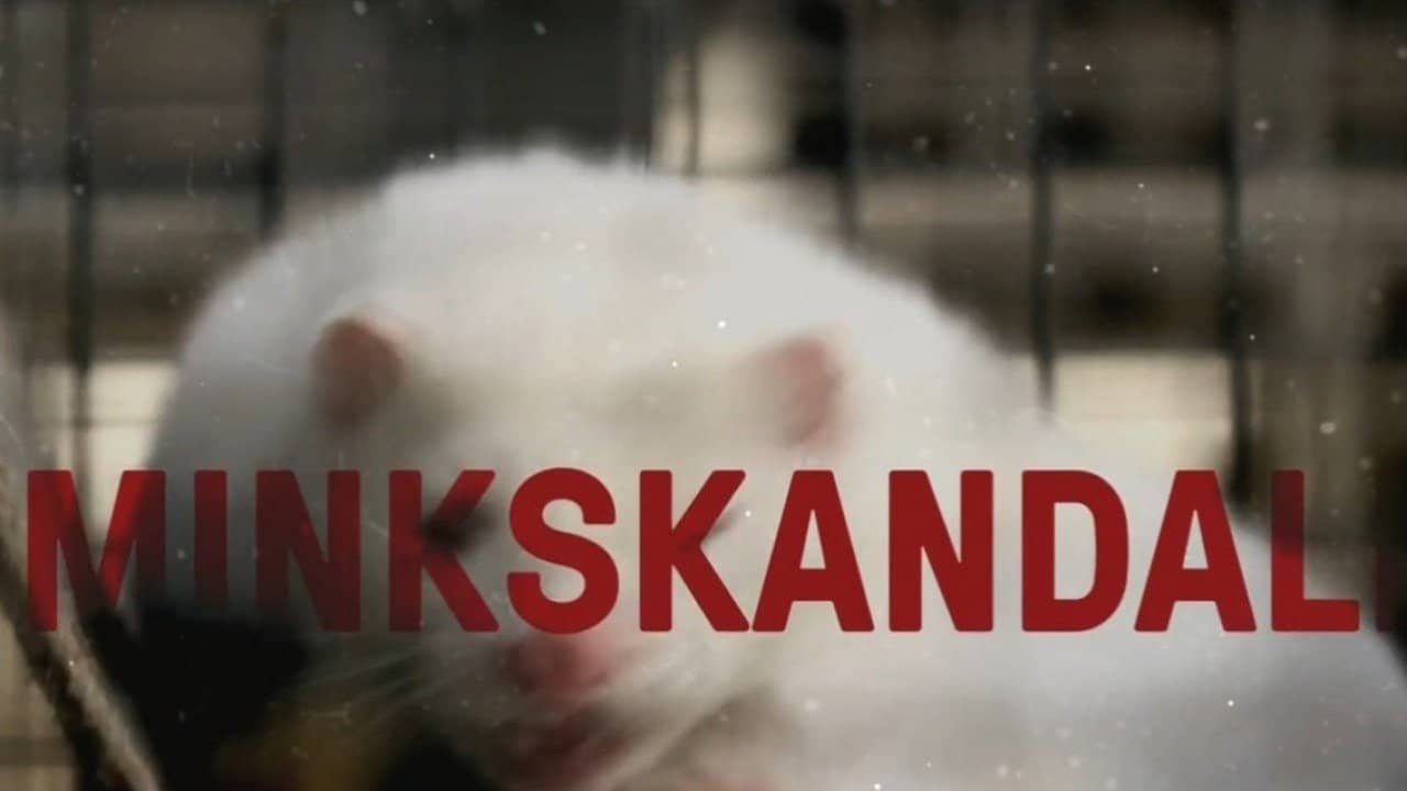 Minkskandalen - Afgørelsens time backdrop