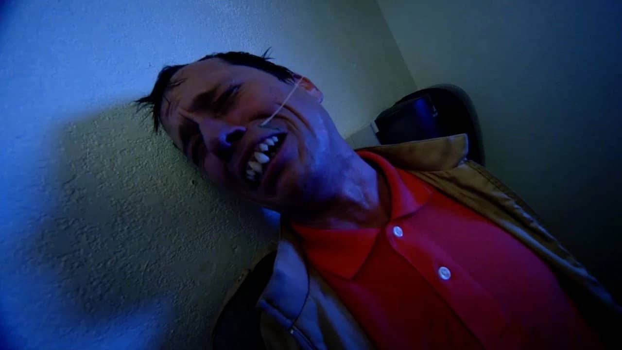 Rottentail backdrop