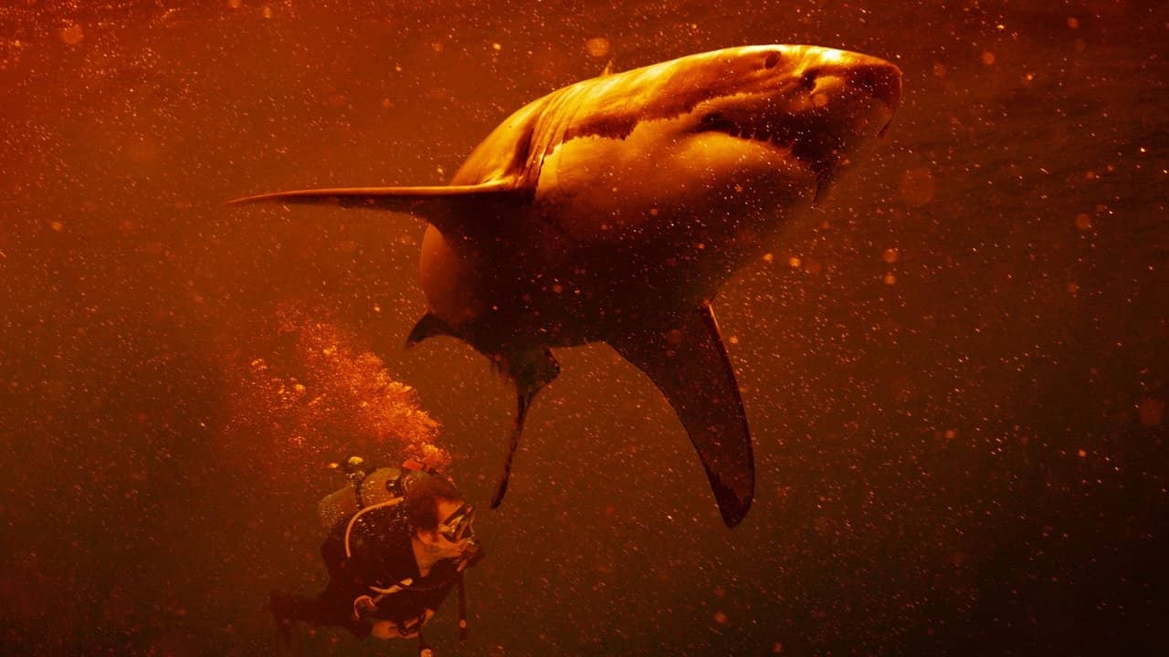 Sharkcano: Hawaii backdrop