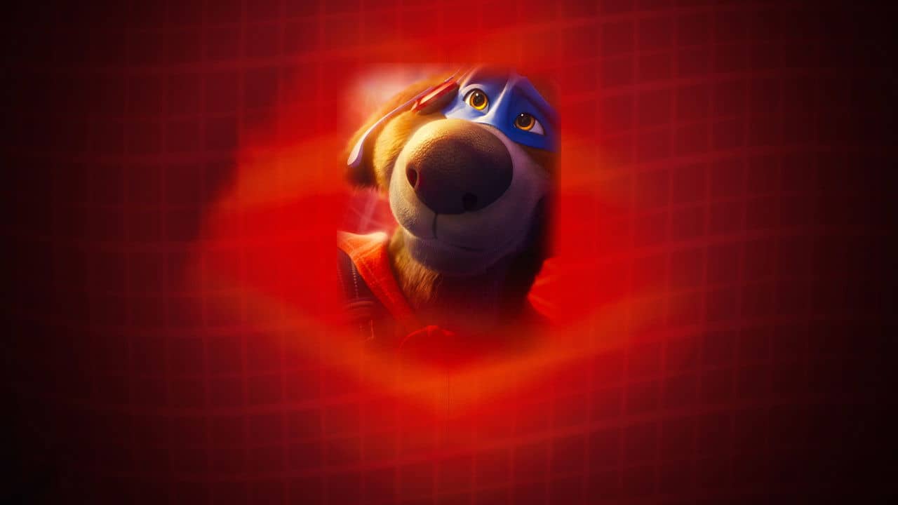 Charlie the Wonderdog backdrop