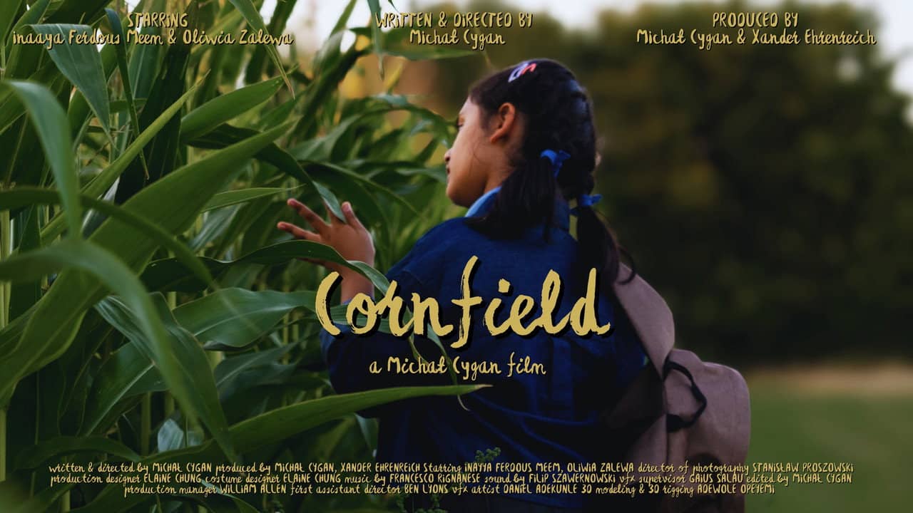 Cornfield backdrop