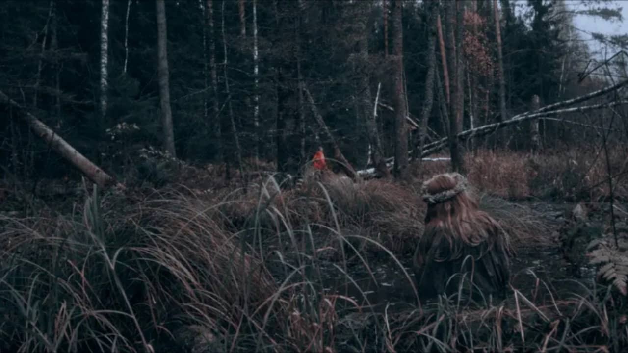 Izvod: Witch's Swamp backdrop