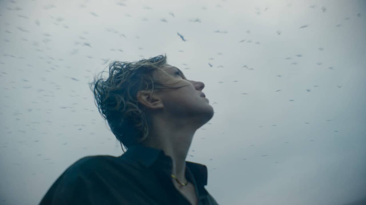 Ghosts of the Sea backdrop