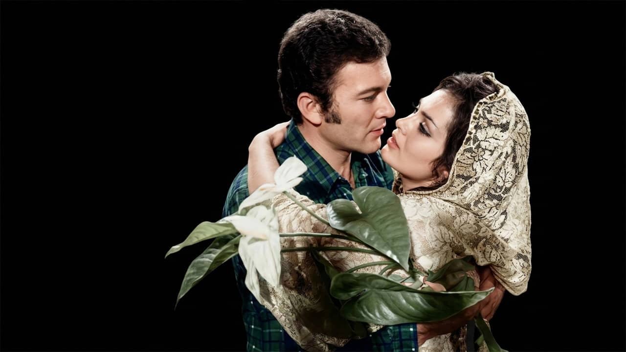 Gelin Çiçeği backdrop