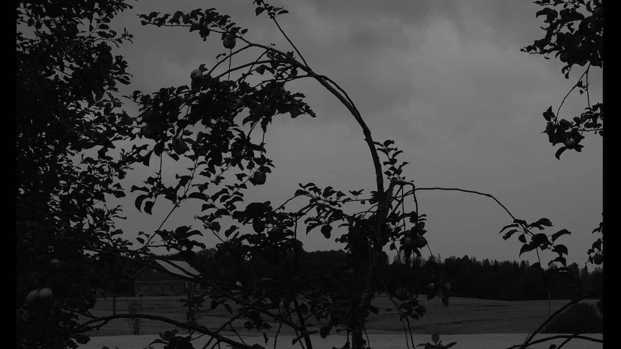 Dasein backdrop