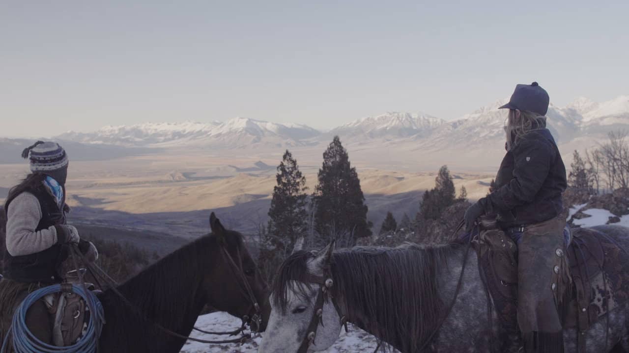 Bitterbrush backdrop