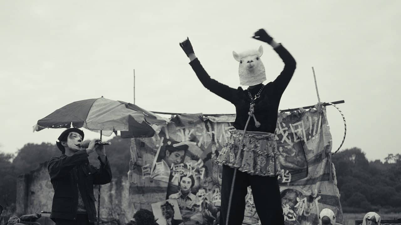 Circus at Dusk backdrop