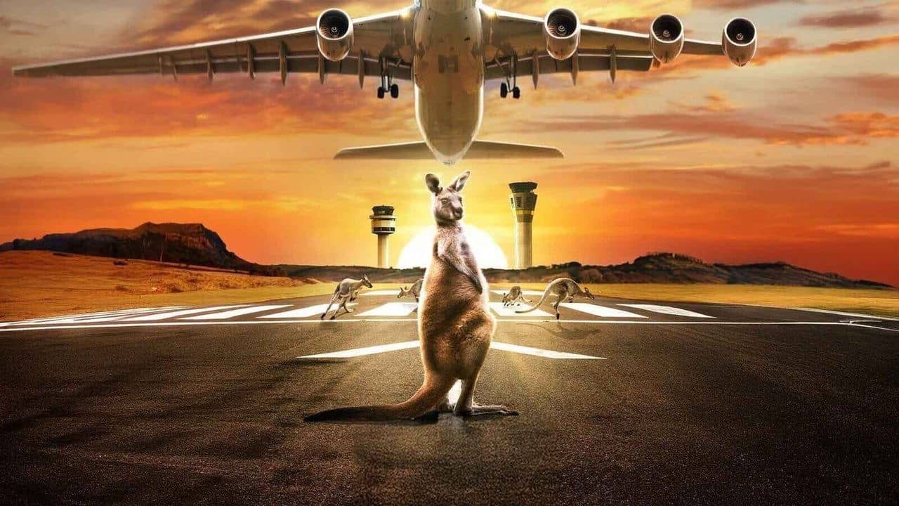 Airport 24/7 backdrop
