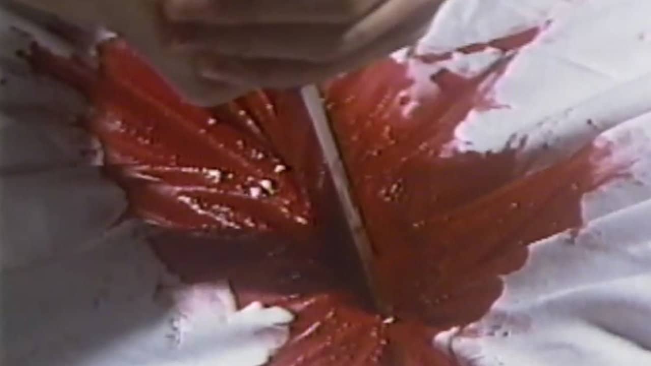 Atsuku naru made matenai Sawaki Yūko backdrop