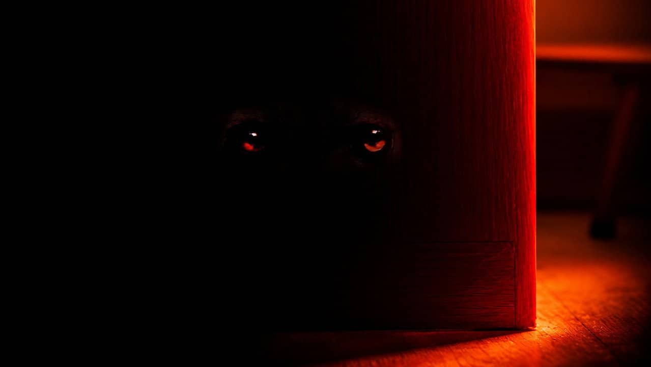 Hyena backdrop