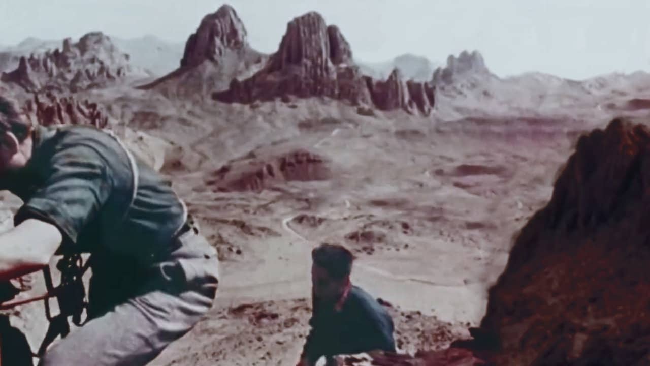 Hoggar backdrop