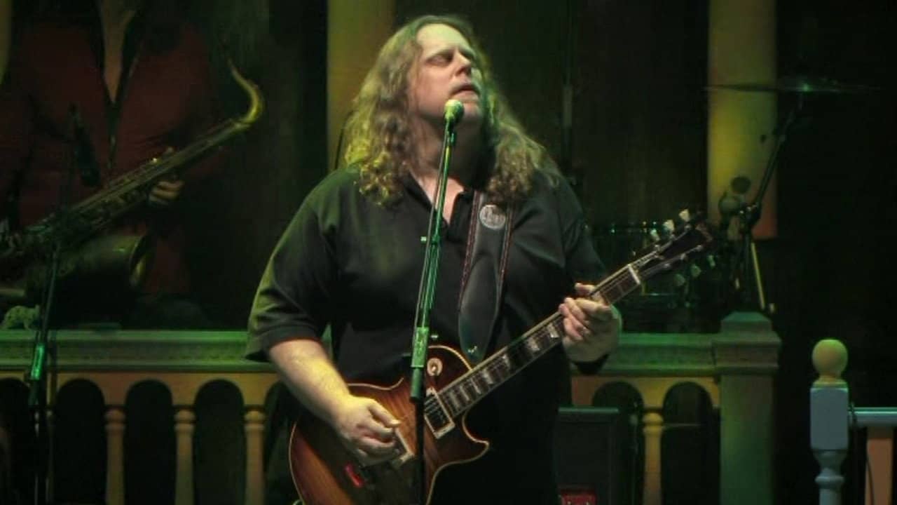 Gov't Mule: Dub Side of the Mule backdrop