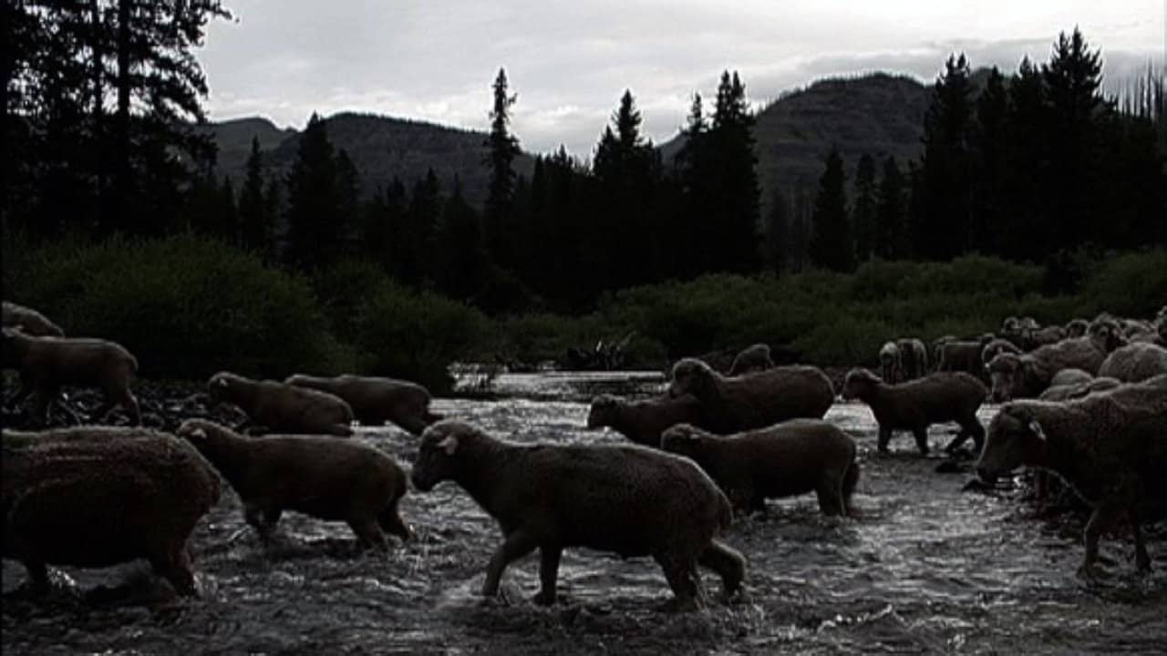Hell Roaring Creek backdrop